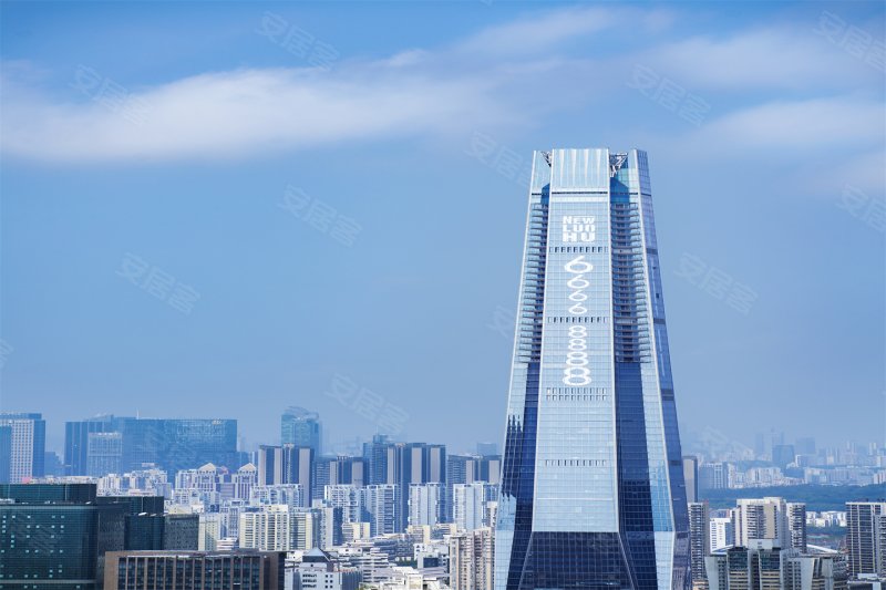 深圳城脉中心·璟喜-效果图(10) - 深圳安居客