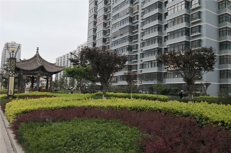 定西楼盘 陇西县楼盘 金泰润园