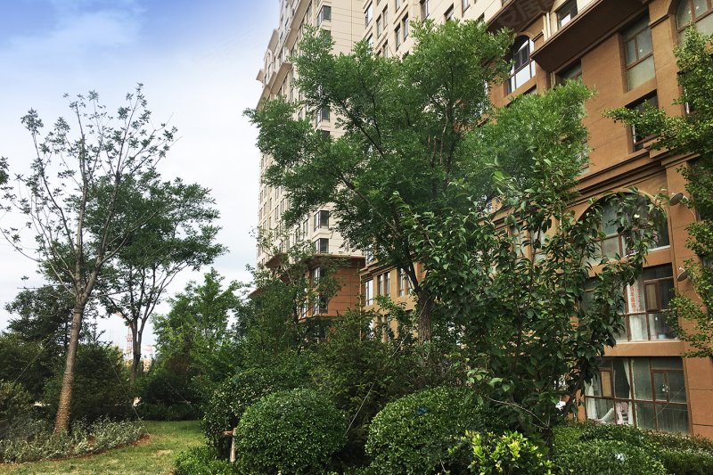 烟台青山翠谷-实景图(23) - 烟台安居客