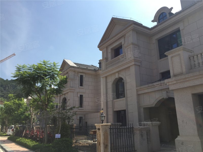 安溪铁观音山庄