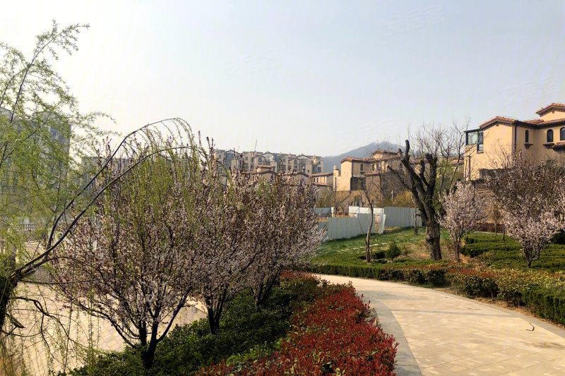 青岛山水嘉园半山御墅-实景图(4) - 青岛安居客