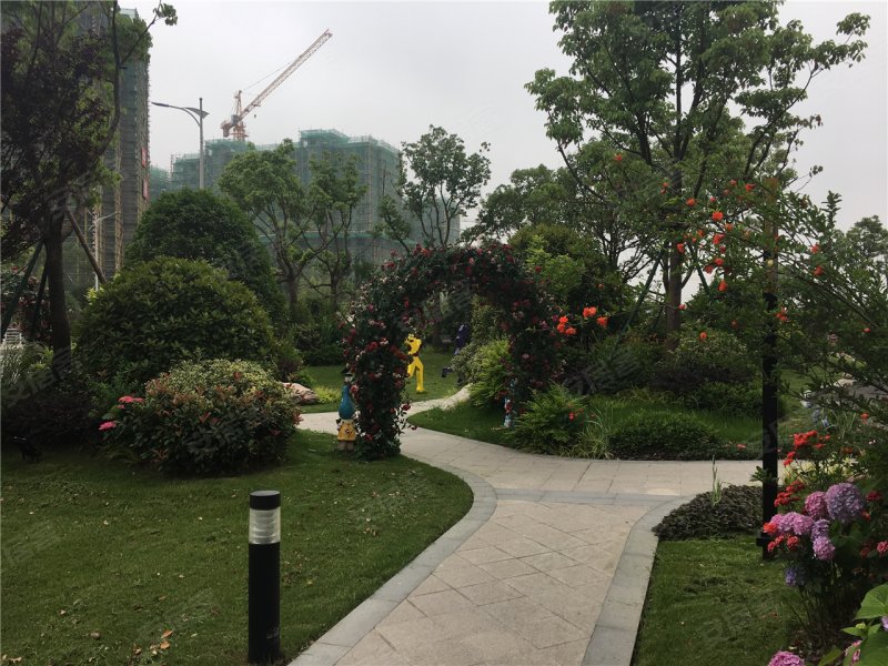 靖江碧桂园铂悦滨江-实景图(10) - 靖江安居客