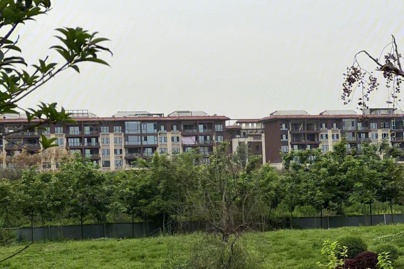 成都华侨城碧桂园莫奈的湖