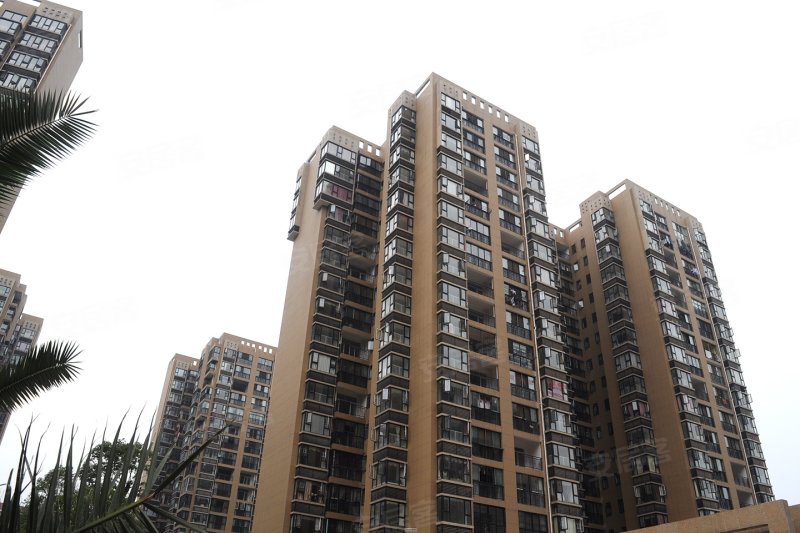 长沙金鼎公园尚-实景图(8) - 长沙安居客