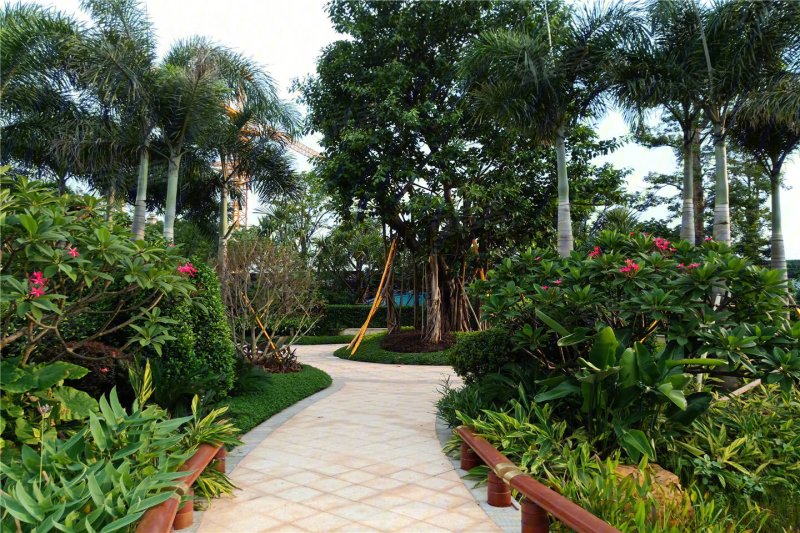 佛山恒大山水龙盘-实景图(17) - 佛山安居客