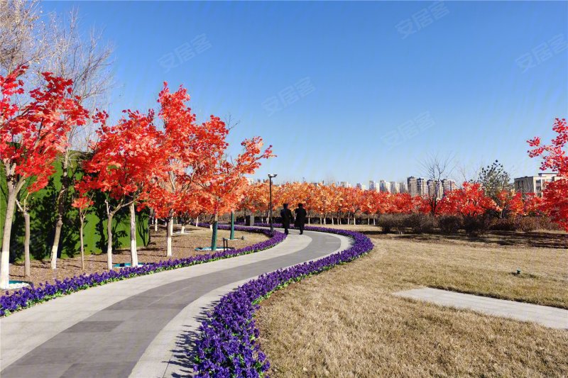 鞍山公园府-配套图(167) - 鞍山安居客