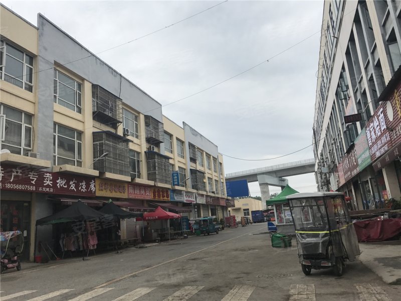 新农·亳州农贸城