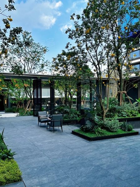 成都经开发展龙湖天澜-实景图(5) - 成都安居客