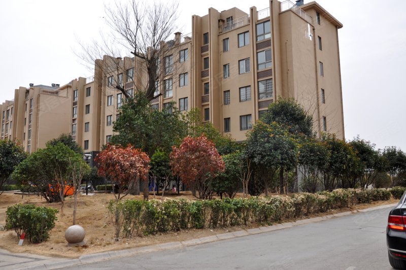 菏泽东方名城-实景图(32) - 菏泽安居客