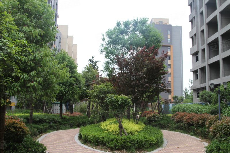 漯河月湾湖东岸丰泽园-实景图(5) - 漯河安居客