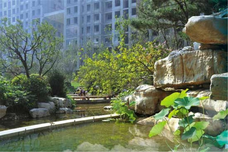 淄博楼盘 张店楼盘 张店区楼盘 曦园