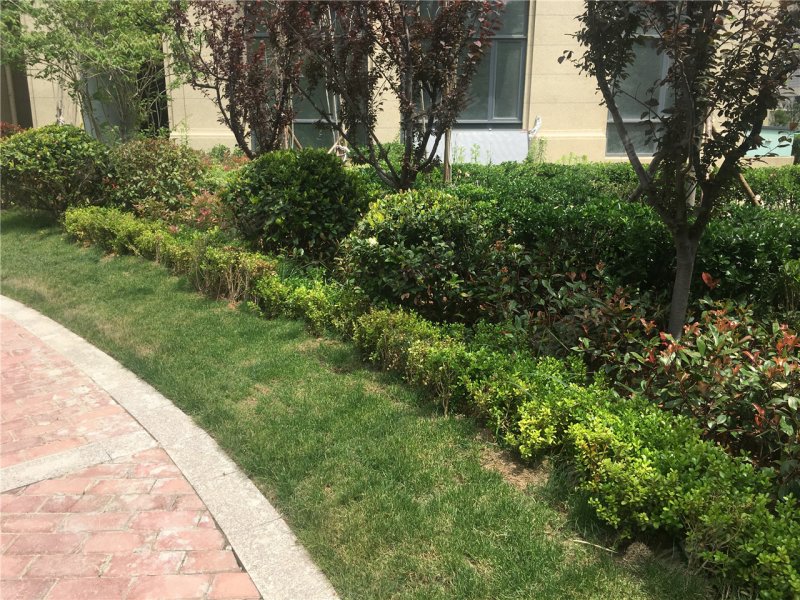 威海祥泰天泽府