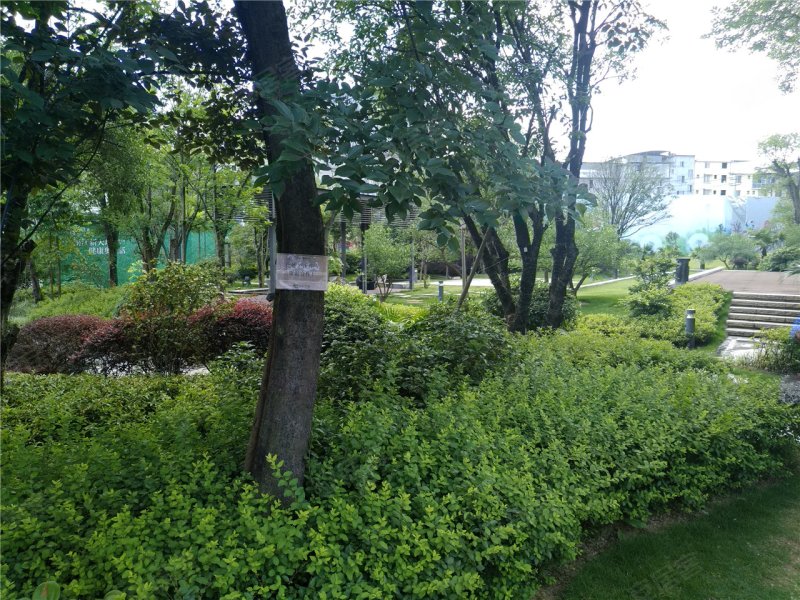 桂林国奥城实景图