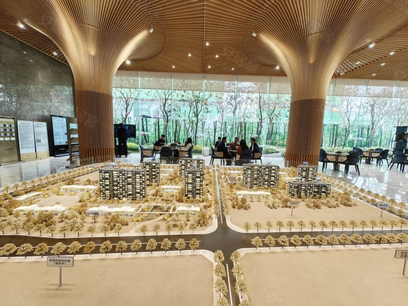 成都中国铁建领樾-沙盘图(45) - 成都安居客