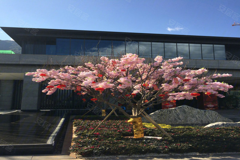 中梁大理壹号院