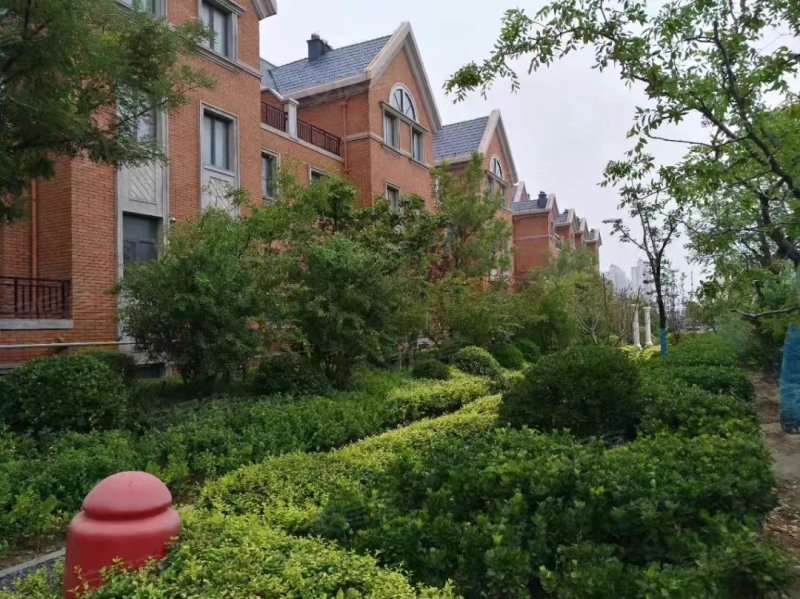 东营白金翰宫