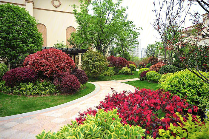 嘉兴河风雅苑-实景图(3) - 嘉兴安居客