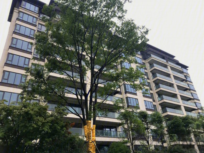 成都城投置地梧桐集-实景图(9) - 成都安居客