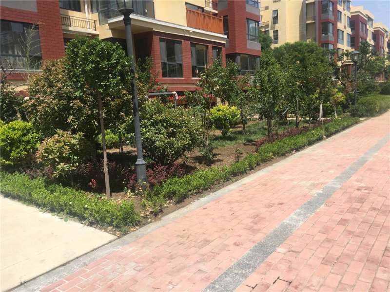 青岛楼盘 平度市楼盘 平度楼盘 开元城开元盛景