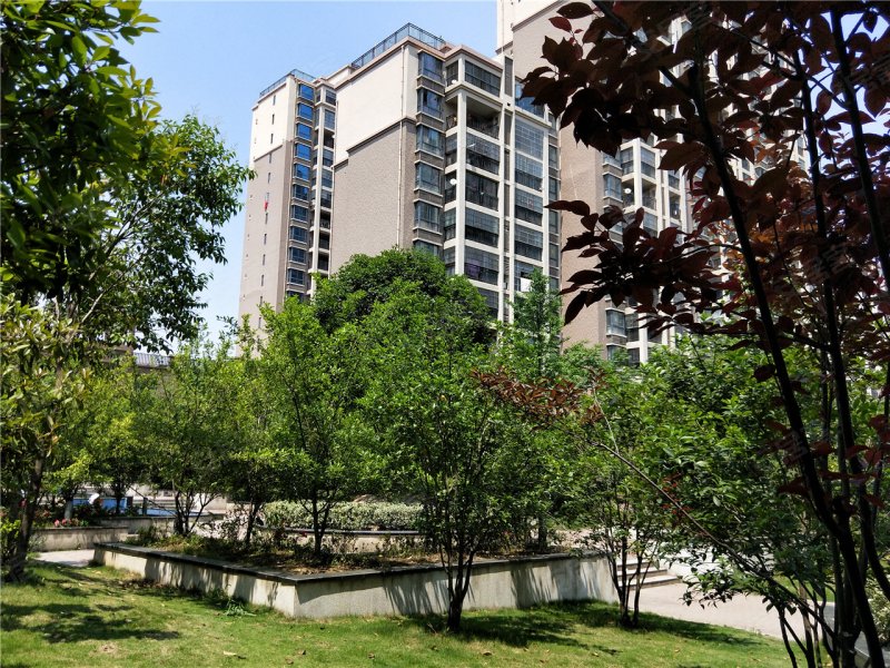 六安新城春天-实景图(23) - 六安安居客