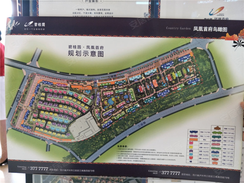 泸州碧桂园·凤凰首府-实景图(12 泸州安居客