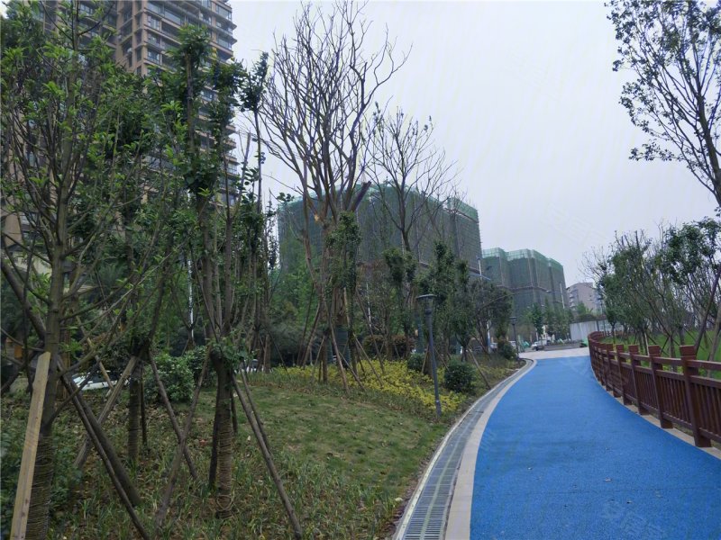 乐山明星中央公园-实景图(2) - 乐山安居客