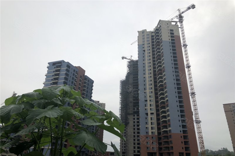 邵阳兴昂国际城-实景图(1) - 邵阳安居客