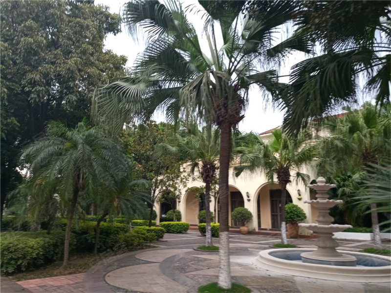 韶关龙洲岛映月-实景图(25) - 韶关安居客