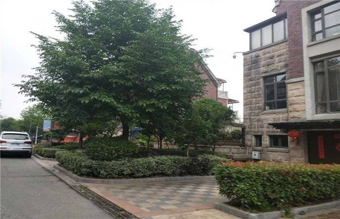 马鞍山东方明珠英郡领誉-实景图(92) - 马鞍山安居客