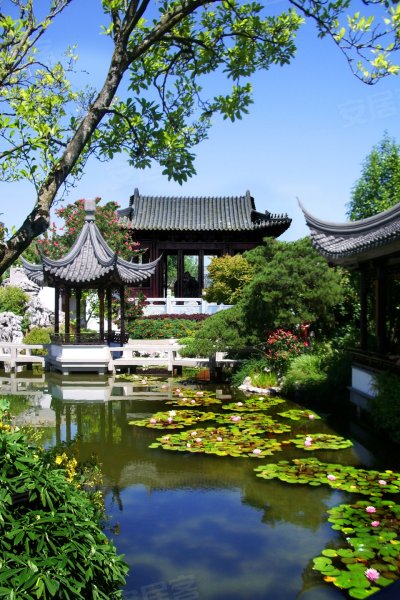 成都芙蓉古城61紫微园-实景图(18) - 成都安居客