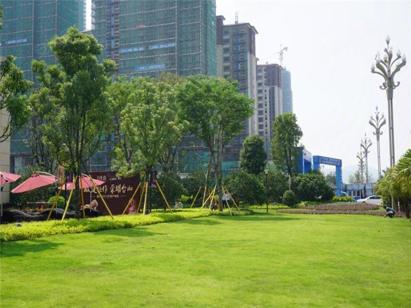 台山敏捷御府-实景图(12) - 台山安居客