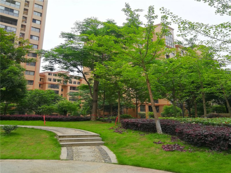 常德公园世家-实景图(9) - 常德安居客