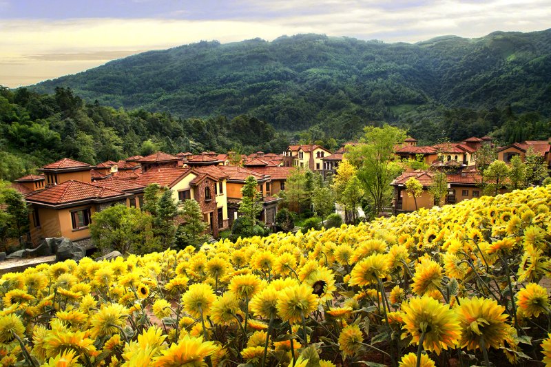 花水湾水云岛实景图