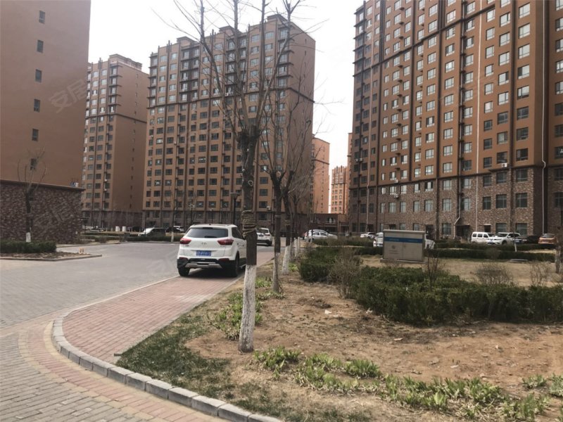 葫芦岛北岸金城-实景图(17) - 葫芦岛安居客