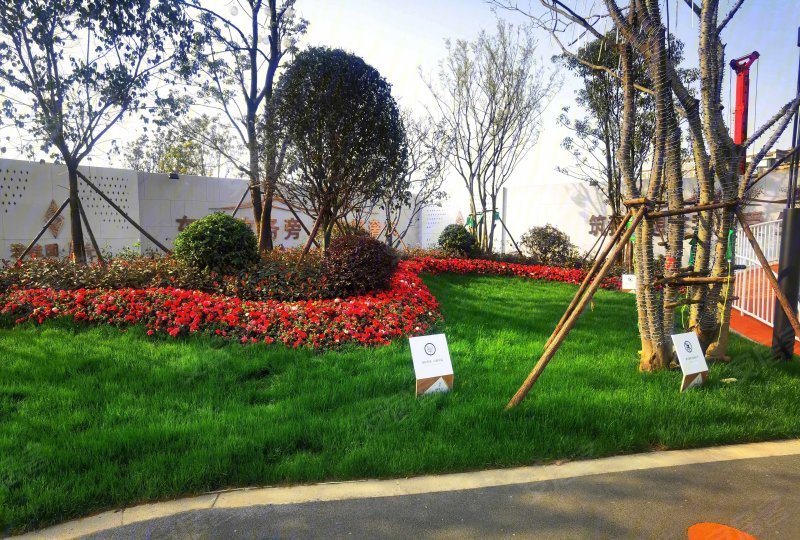 邵东碧桂园星钻