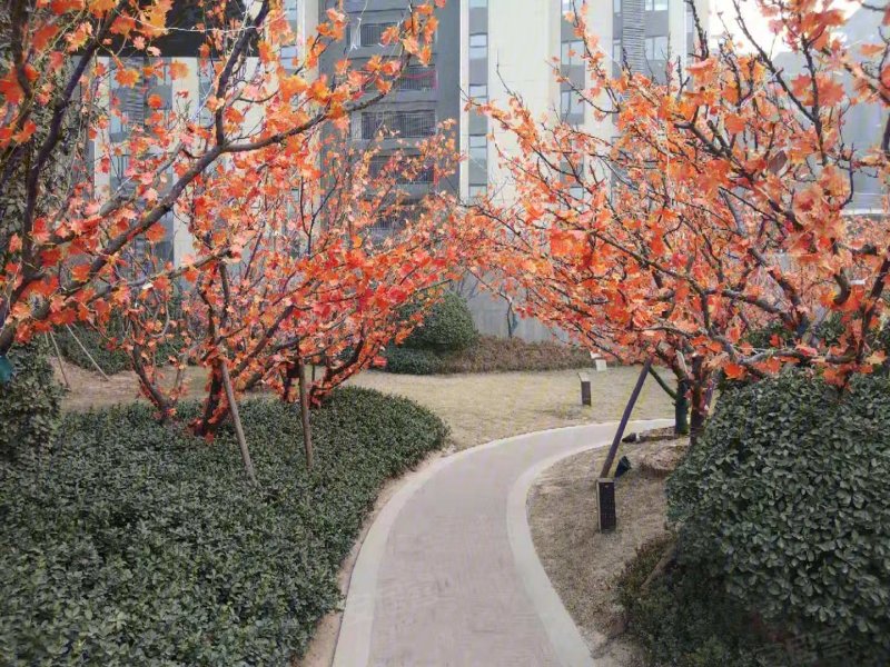 临汾四季花都-实景图(36) - 临汾安居客