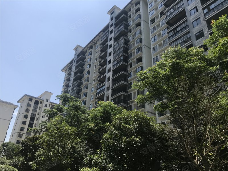 荆门君林·金桂园-实景图(26) - 荆门安居客