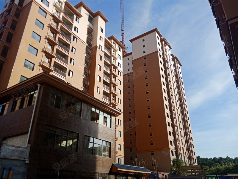 咸宁畔山林语-实景图(16) - 咸宁安居客