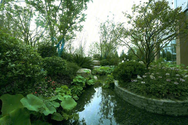 周口实地九里香堤-实景图(24) - 周口安居客