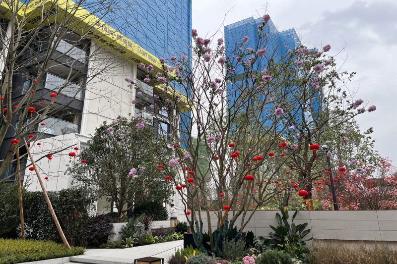 成都华侨城熙成里-实景图(16) - 成都安居客