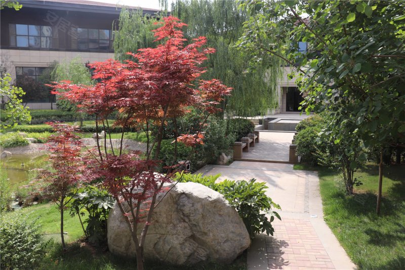 西安紫薇花园洲-实景图(13) - 西安安居客