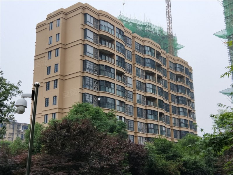 淮南东城国际-实景图(13) - 淮南安居客