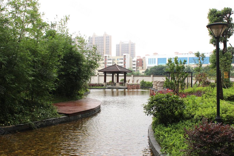 长沙盛腾学林西岸二期项目-实景图(19) - 长沙安居客