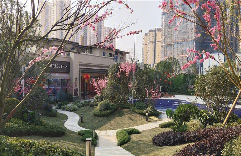 广元苍溪碧桂园-实景图(14) - 广元安居客