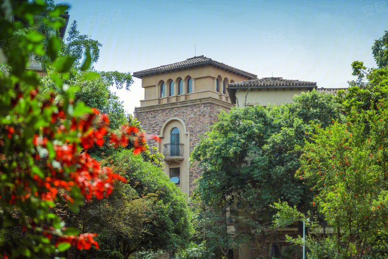 花样年大溪谷云缦