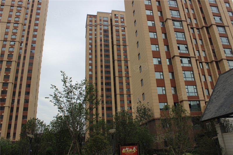 濮阳东湖方舟-实景图(54) - 濮阳安居客