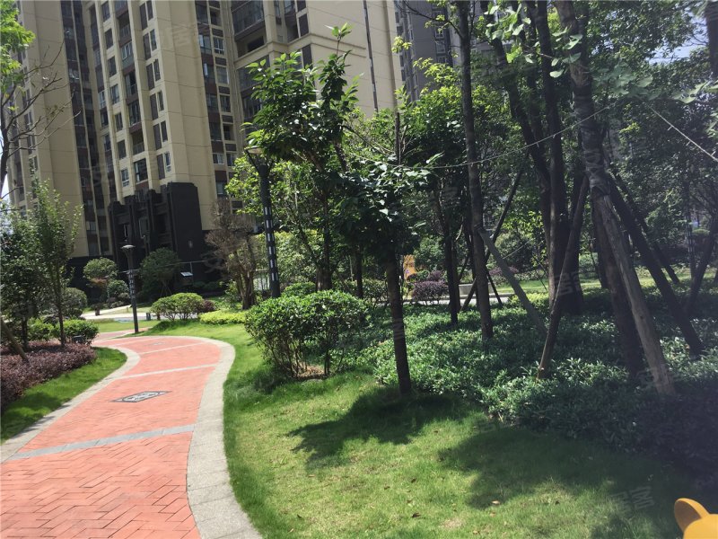 都匀市天福·剑江半岛-实景图(54) - 都匀市安居客