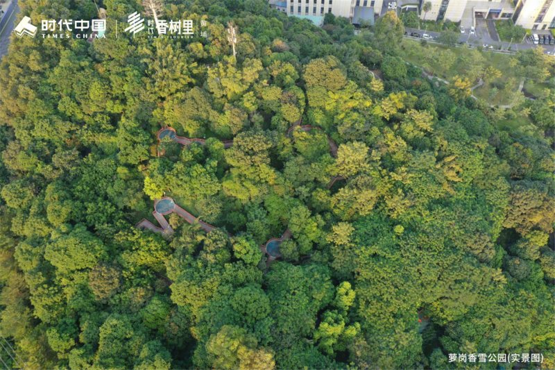 广州时代香树里