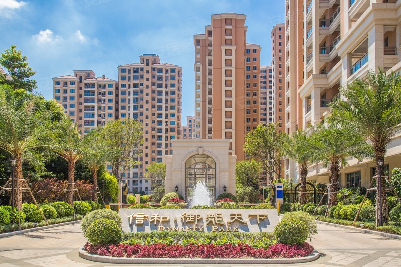 信和御龙天下三期