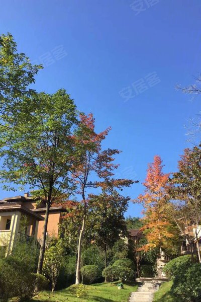 花水湾水云岛实景图